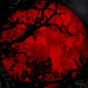 Meet your Posher, Victor